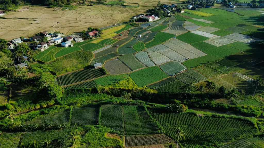 agricultural land for sale in punjab