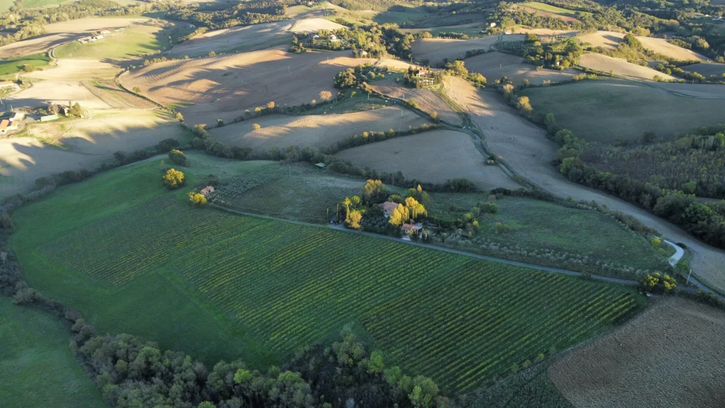 agricultural land for sale in punjab